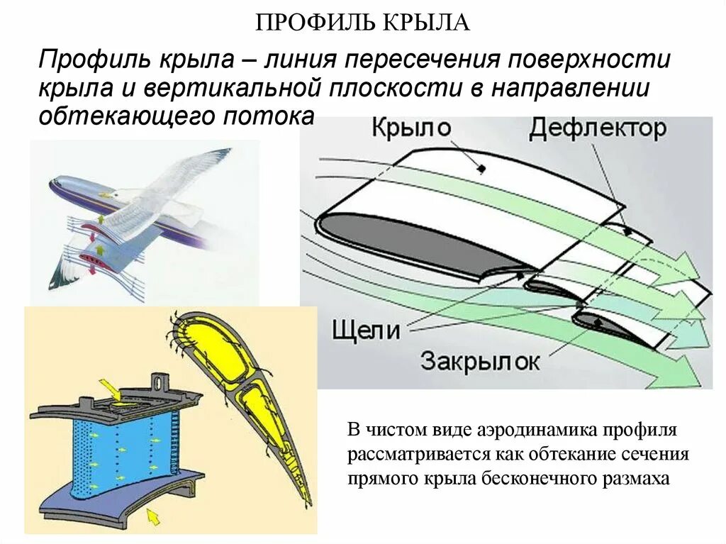 Скрип крыла. Аэродинамический профиль крыла для малых скоростей. Профиль крыла планера для малых скоростей. Аэродинамический профиль крыла самолета. Профиль крыла s3021.