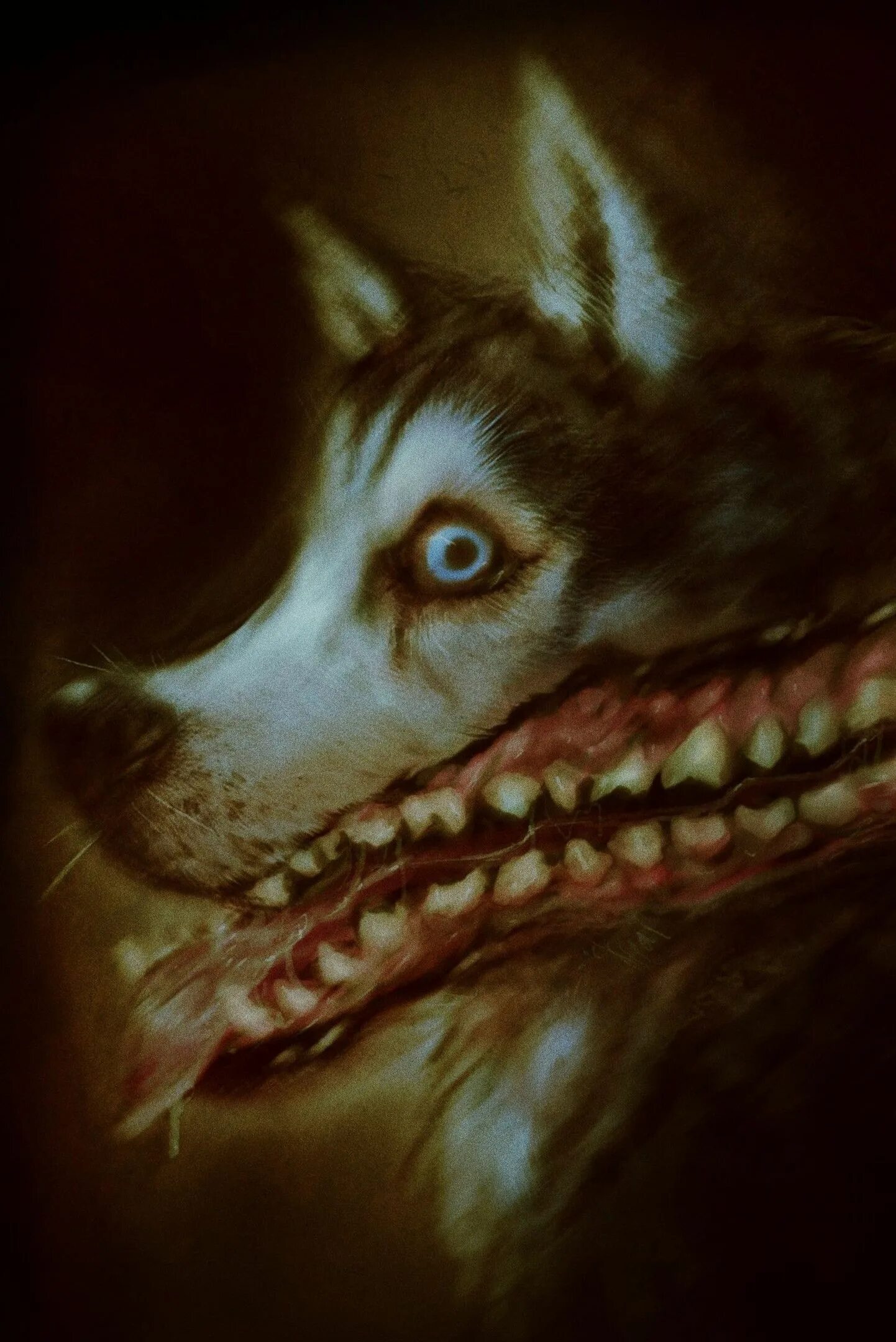 Собака улыбака крипипаста. Смайл дог оригинал хаски. Scary dog