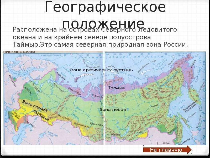 Какая природная зона за полярным кругом. Географическое положение Северной зоны России. Географическое положение природных зон России. Тундра на карте России. Географическая карта тундры.