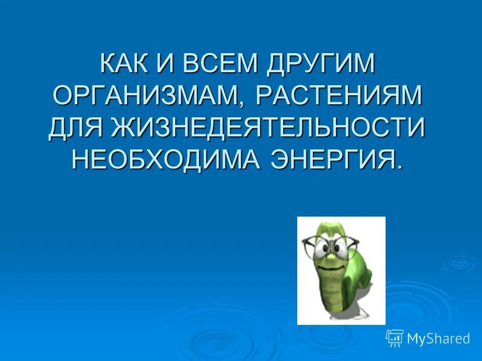 экосистема это кратко. экологическая система это в биологии. организмы обитатели других организмов. организмы питающиеся готовыми органическими. дает другим организмам.