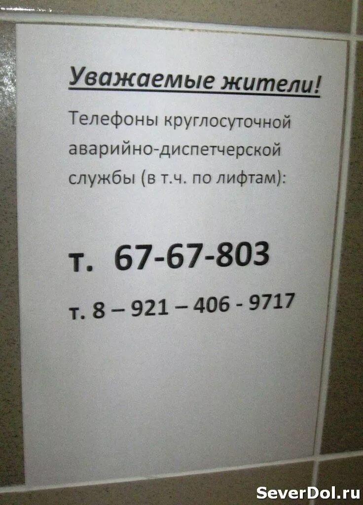 Телефон аварийной службы лифтов. Диспетчер лифтовой аварийной службы. Объявление о телефоне диспетчерской. Диспетчерская служба лифтов Екатеринбург. Какой номер диспетчерской службы лифта.