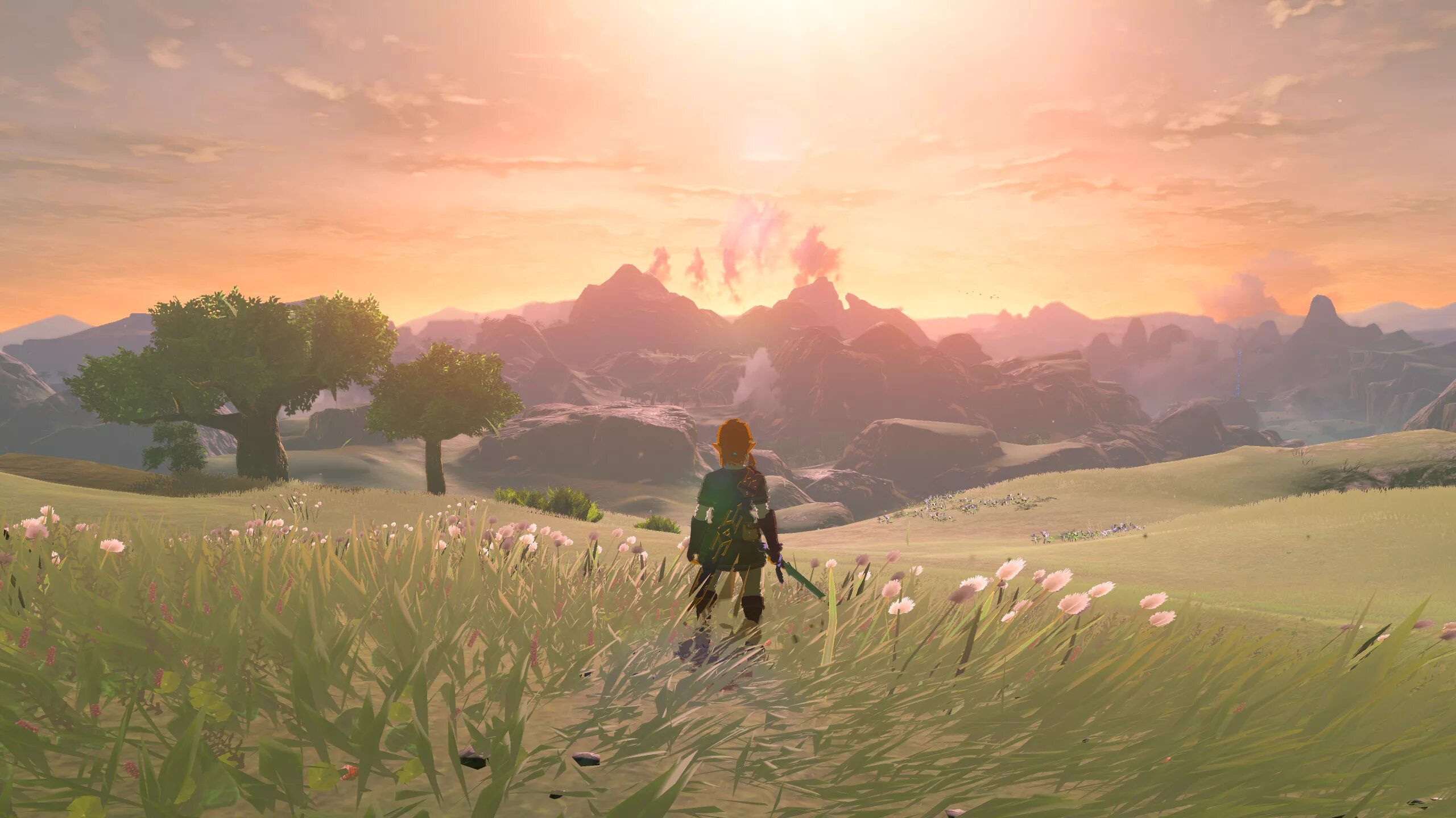 Зельда игра 2017. Зельда breath of the wild. Zelda breath of the wild legend роботы защитники. Materials for upgrade armor botw. Батл рояль зельда.