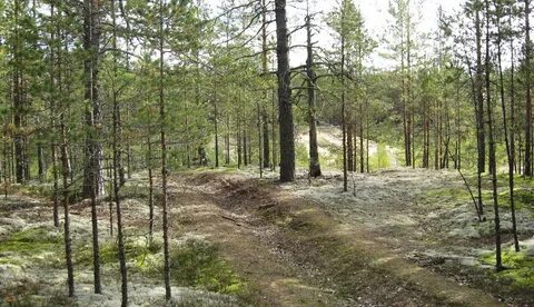 Работа в лесных районах
