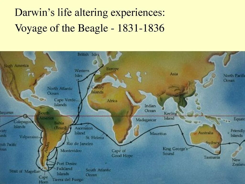 Ч дарвин кругосветное путешествие. Маршрут кругосветного путешествия Чарльза Дарвина. Путешествие Дарвина на корабле Бигль. Маршрут Дарвина на корабле Бигль. Карта путешествия Чарльза Дарвина.