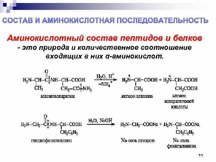 Изменение аминокислот последовательности белков. Аминокислотный состав пептидов. Аминокислотная последовательность. Состав и аминокислотная последовательность пептидов. Состав пептидов и белков.