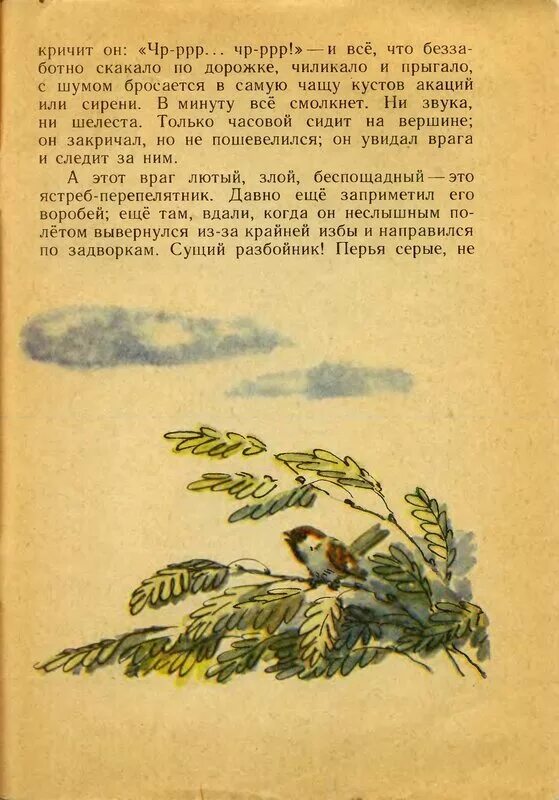 рассказ про воробья. воробушек рассказ ждановны глава 25. воробушек рассказ ждановны глава 25. сказка рассказанный в оробей. рассказ про воробья.
