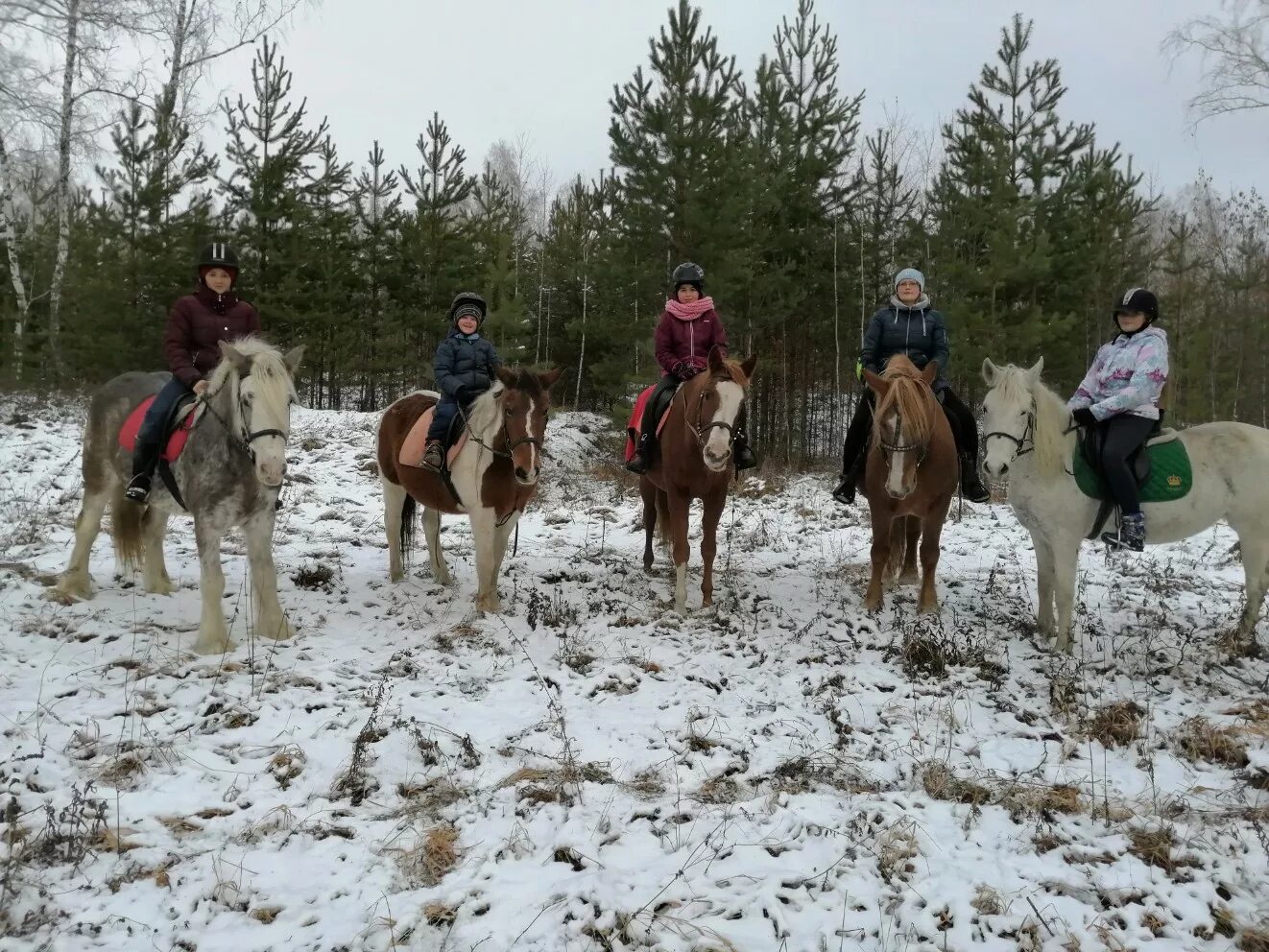 катание на лошадях тюмень