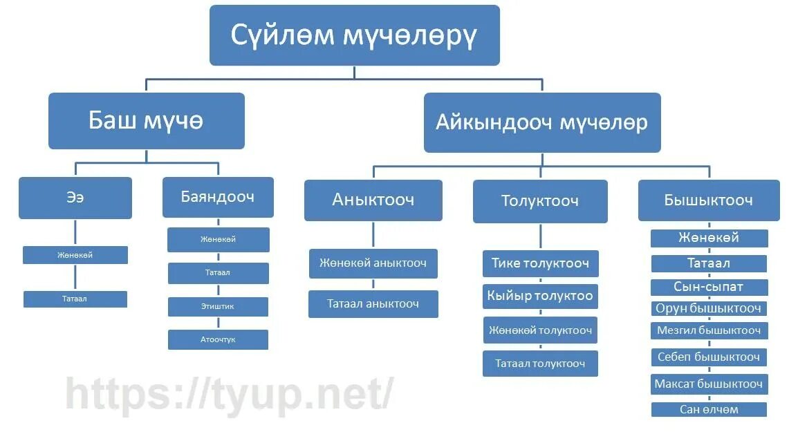 Ээ баяндооч. Аныктооч бышыктооч. толуктооч аныктооч бышыктооч суроолору. аныктооч толуктооч баяндооч. баяндооч суроолору.