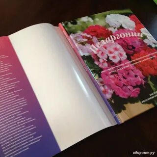 Герань книги