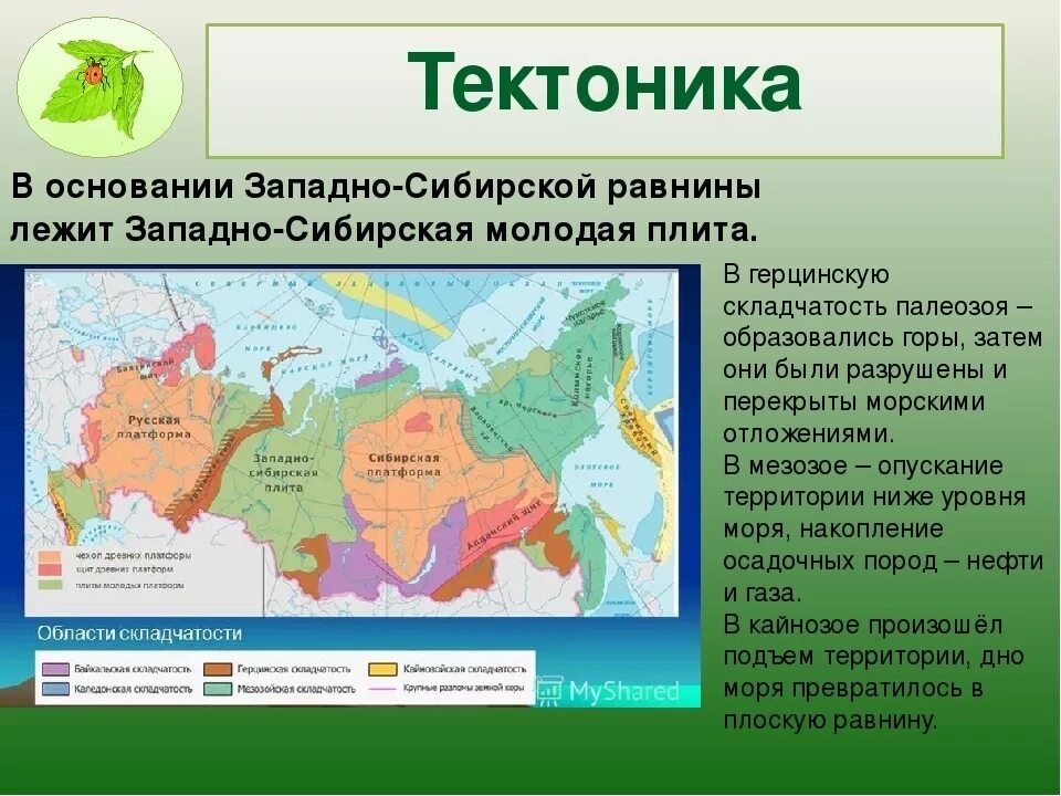 Какие платформы лежат в основании евразии. Западно-Сибирская низменность тектоническая структура. Геологическое строение Западно сибирской равнины. Геологическое строение Западной Сибири равнины. Тектоническая структура Западно-сибирской равнины.