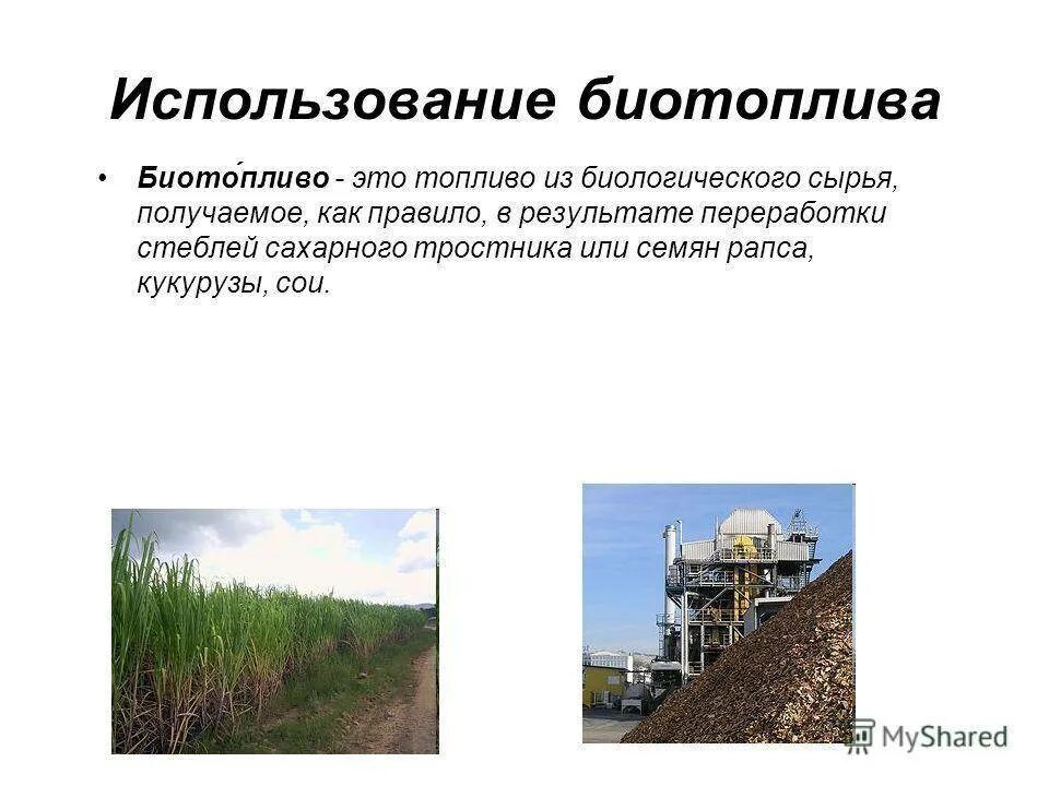 Виды биотоплива. Примеры использования биотоплива. Альтернативные источники энергии биотопливо. Использование биотоплива