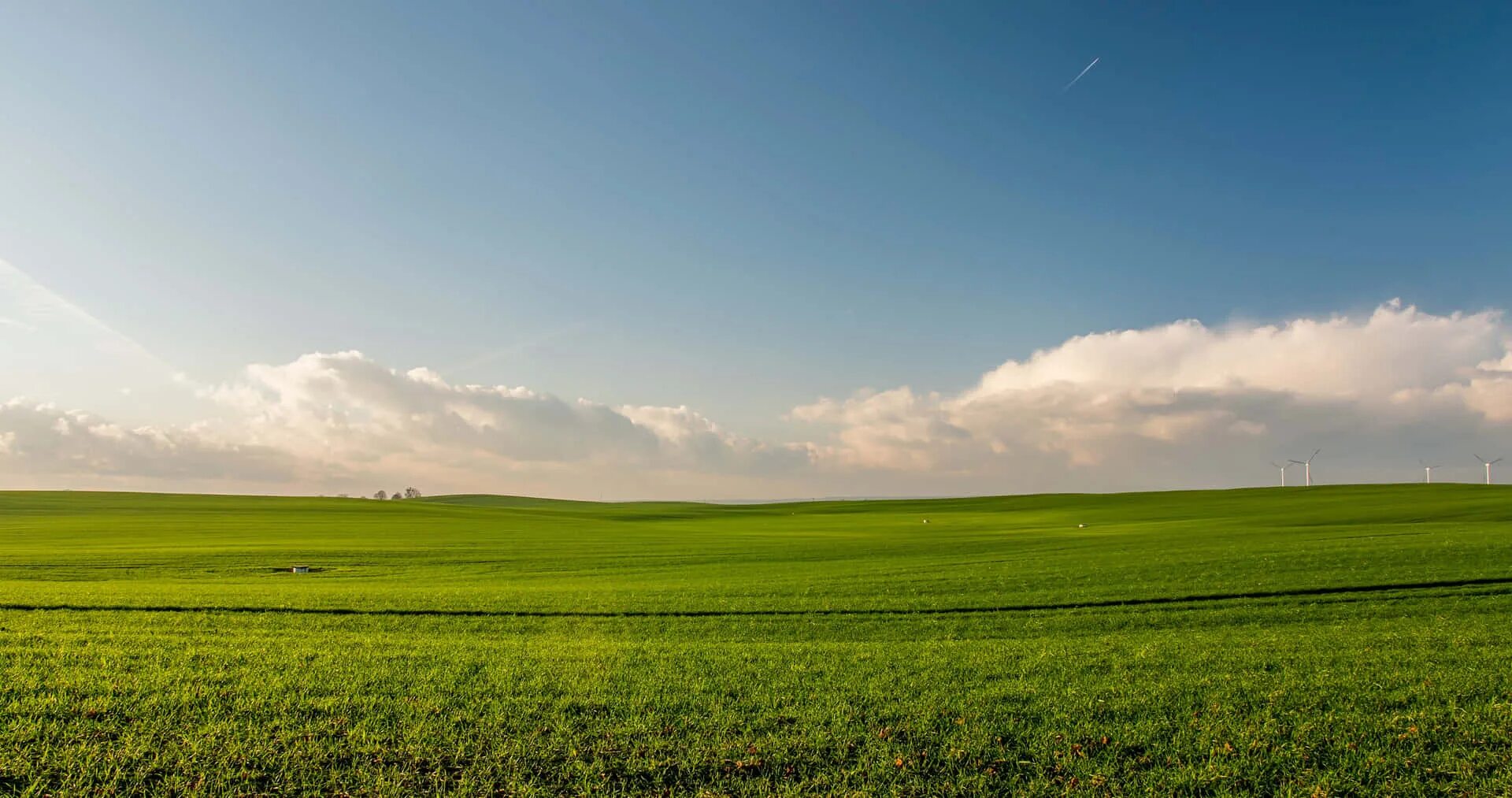 Lower fields