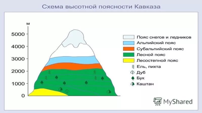 Высотные природные зоны урала. Уральские горы Высотная поясность схема. Схема ВЫСОТНОЙ поясности гор. Высотная поясность в горах Кавказа и Урала. Высотная поясность уральских гор.