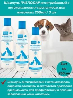 Пчелодар для собак