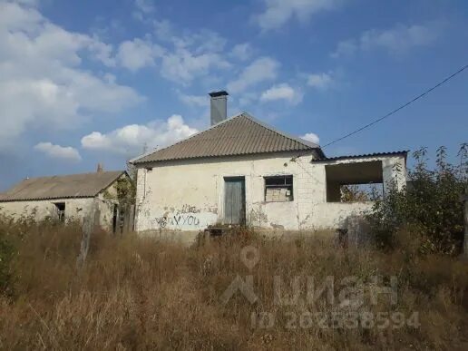 Медовка. Кристалл медовка. Рп5 медовка. Воронежская область пос медовка. Казазово адыгея.