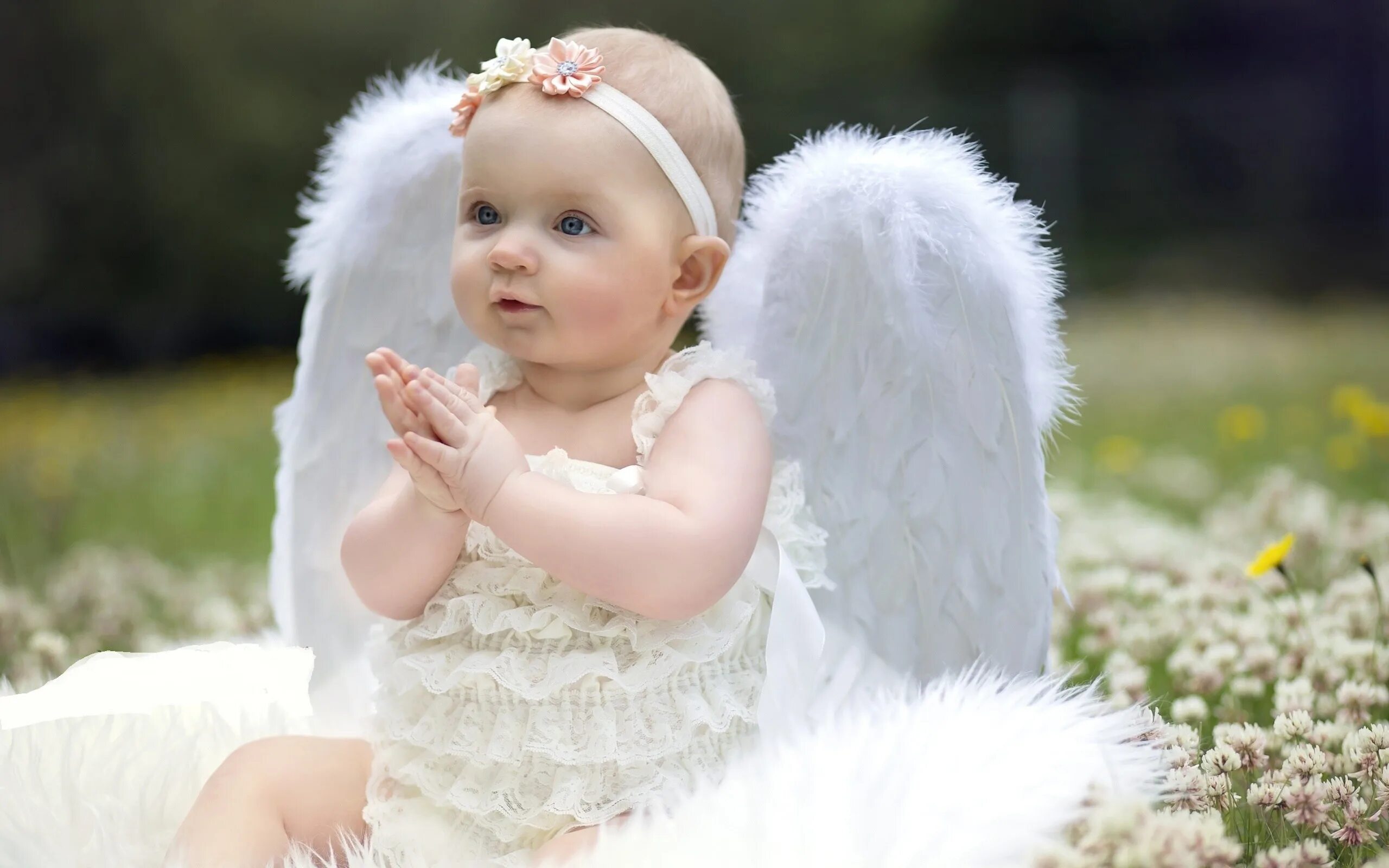 Красивые детки. Красивые младенцы. Маленький Ангелочек. Ребенок с крыльями ангела. Little angel на русском языке
