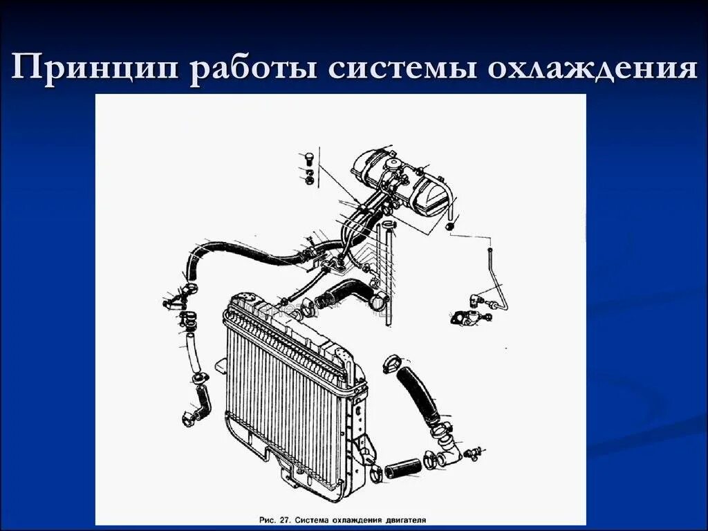 Система охлаждения м д. Устройство и принцип работы системы охлаждения ДВС. Перечислите Наименование деталей системы охлаждения двигателя. Состав системы охлаждения. Техническое обслуживание системы охлаждения ДВС.