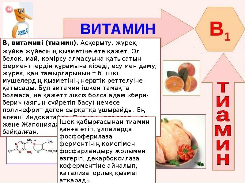 Какого витамина больше в луке. Витаминдер. Витаминдер презентация. Тиамин витамин. Витамины в груше.