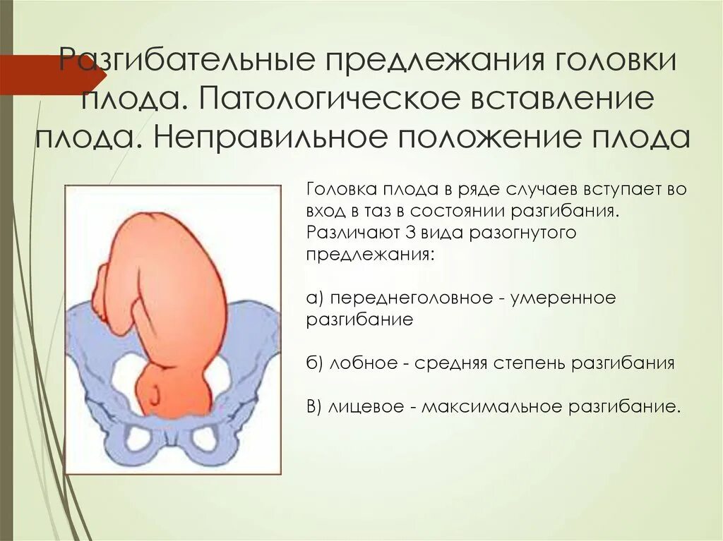 Самопроизвольные роды в затылочном предлежании. Разгибательные предлежания плода биомеханизм. Неправильное вставление головки плода. Неправильные положения и предлежания плода. Неправильное предлежание головки плода.