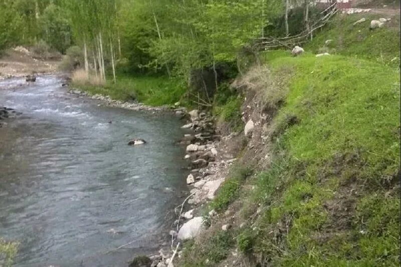 Коза картинка. Козы на реке. Козы на реке. Река коз. Река коз.
