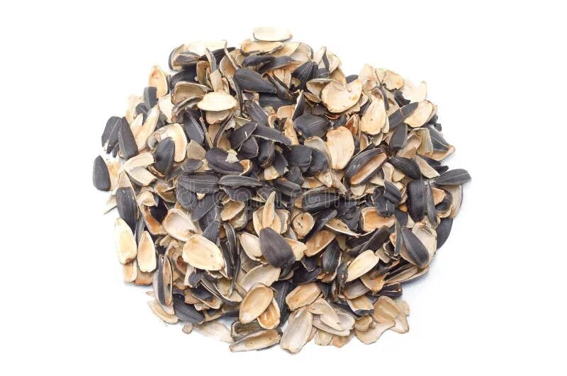 Шелуха семян подсолнечника. Скорлупки семечек. Шелуха от семечек. Сонник шелуха от семечек. Скорлупа семян подсолнечника.