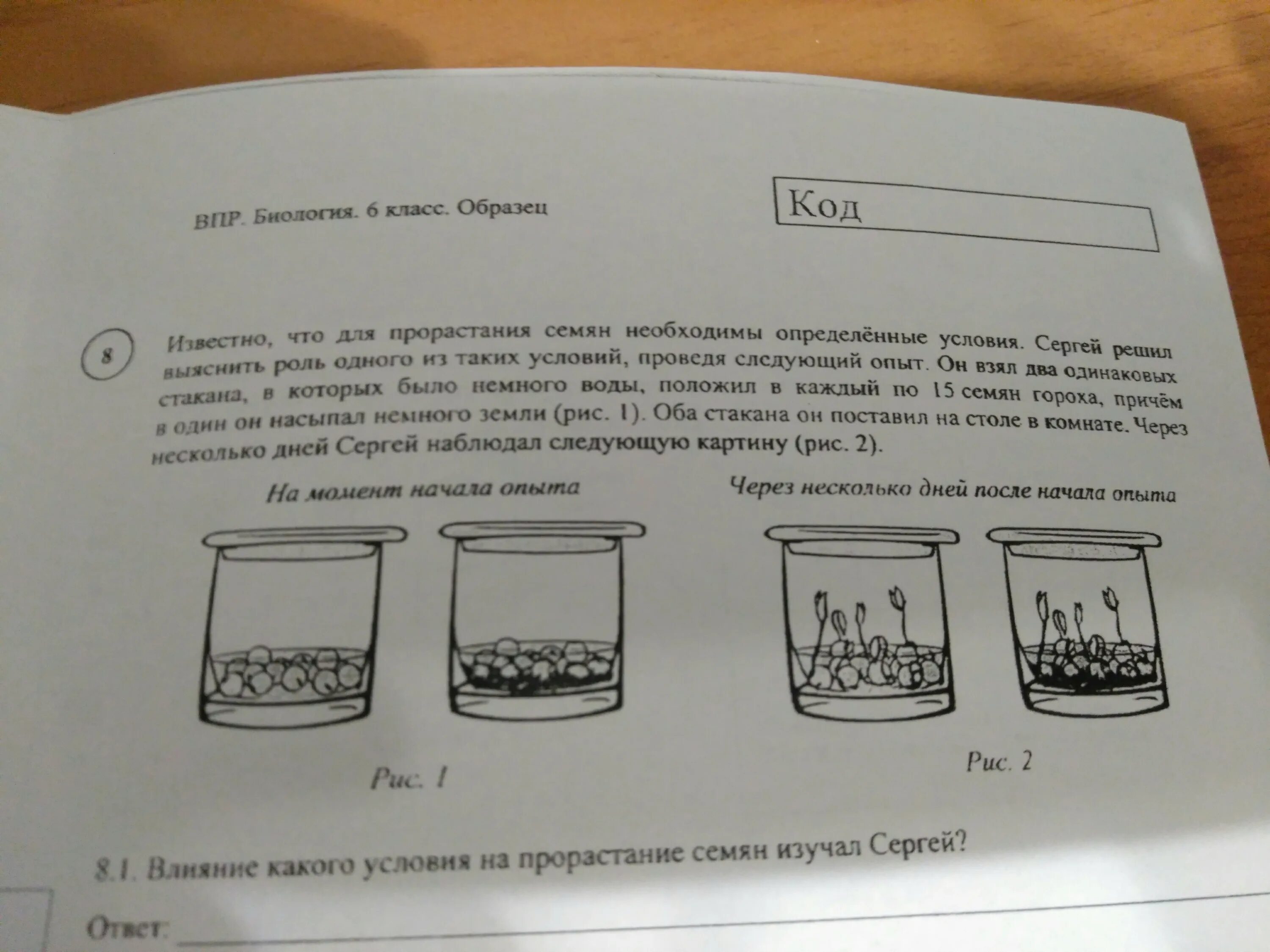 Экспериментатор изучал влияние условий выращивания. Влияние условий на прорастание семян. Изучение влияния условий на прорастание семян. Условия влияющие на прорастание семян рисунок. Влияние какого условия на прорастание семян изучал фёдор.