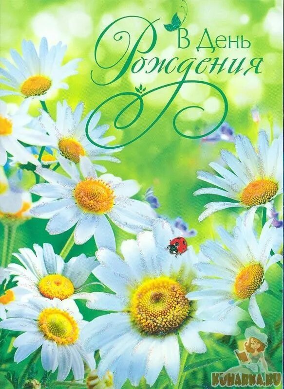 Открытки с днём рождения с ромашками. Открытки с днём рождения с ромашками. С юбилеем женщине ромашки. С днём рождения ромашкт. Букет ромашек с днем рождения.