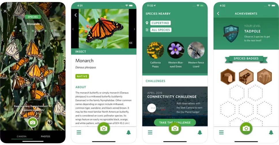 Приложение seek. INATURALIST приложение. Приложение seek by INATURALIST. Seek программа распознавания растений. Ай натуралист.