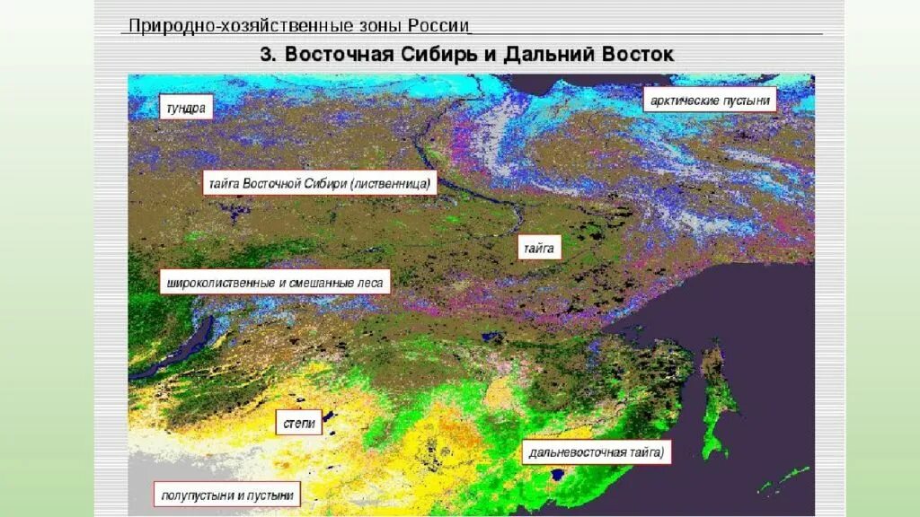 Какая природная зона отсутствует в западной сибири. Природные зоны дальнего Востока карта. Природные зонвдальнего Востока. Природные зоны Сибири и дальнего Востока. Природные зоны дальнего Востока России.