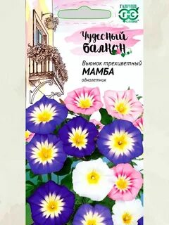 Вьюнок трехцветный семена