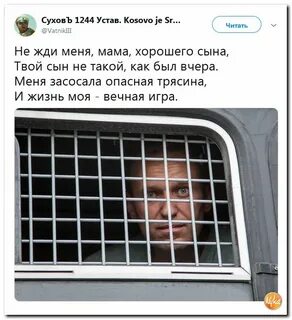 Меня засосала опасная трясина и жизнь