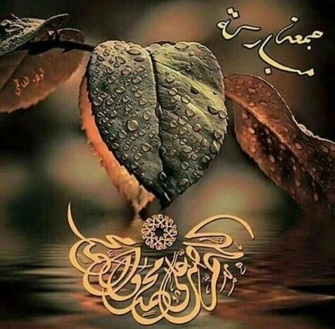 Мусульманские цветы. Мусульманские открытки. Красивые арабские цветы. Доброе утро мусульманские пожелания