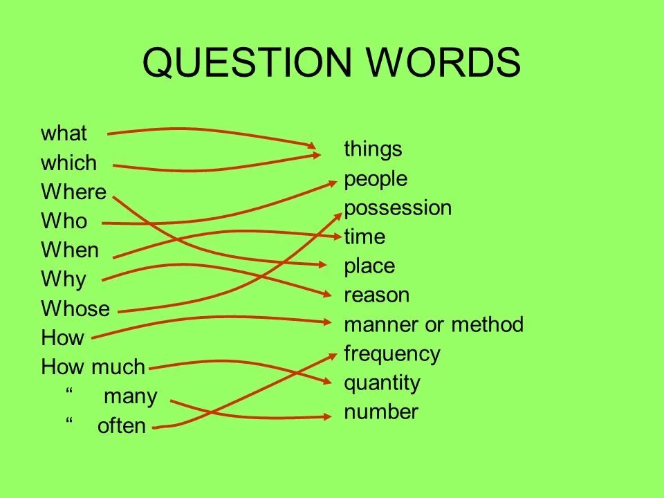 Вопросы с what who where when why how. Question Words. Question Words вопросительные слова. What which who разница. Question words when what how