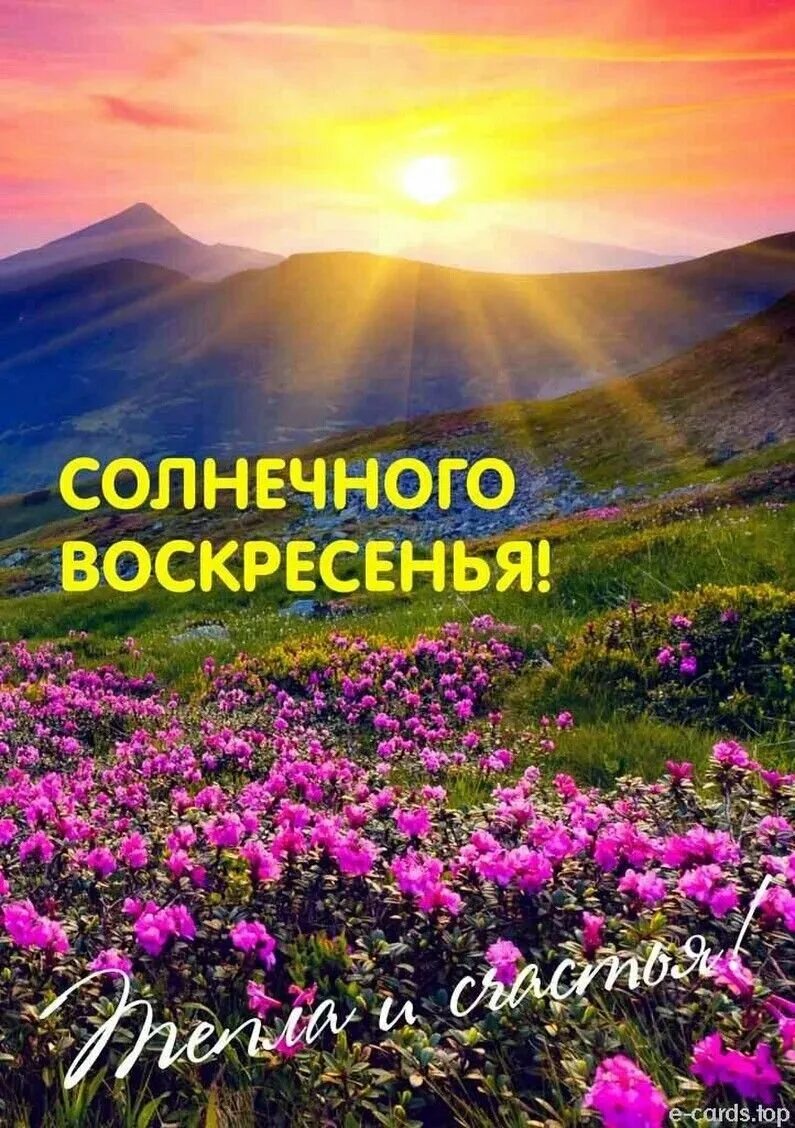 Доброе утро воскрес. Открытки с добрым утром воскресенья. доброго воскресного дня. солнечного воскресенья. с добрым воскресным утром.