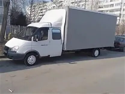 Газель фермер длинная