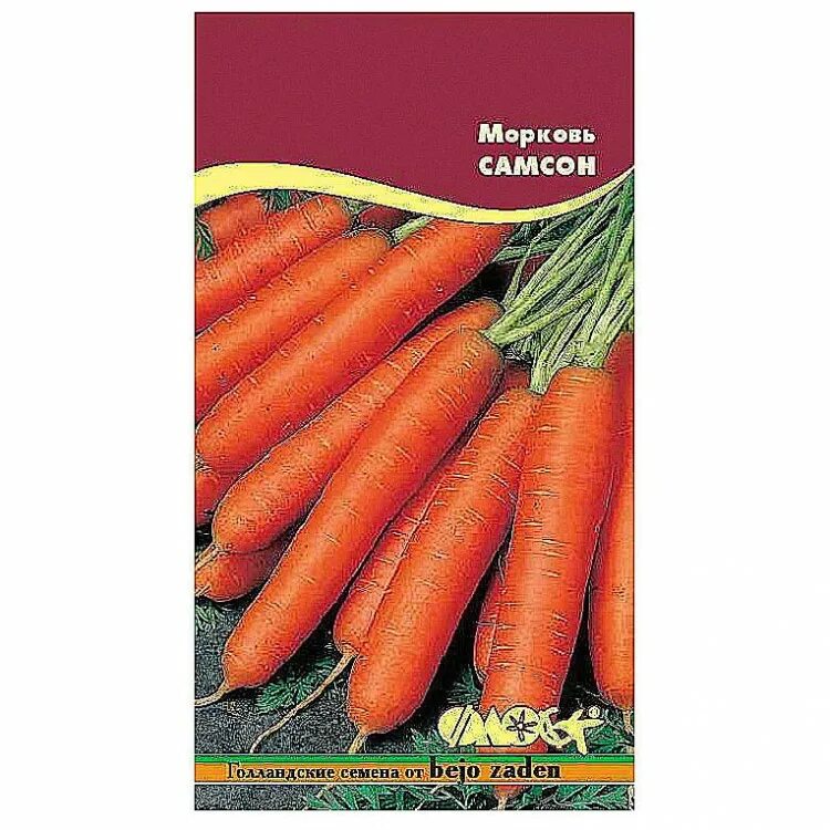 голландские семена. голландские семена. профессиональные семена овощей из голландии. редис дабел f1. голландские сорта овощей семена.