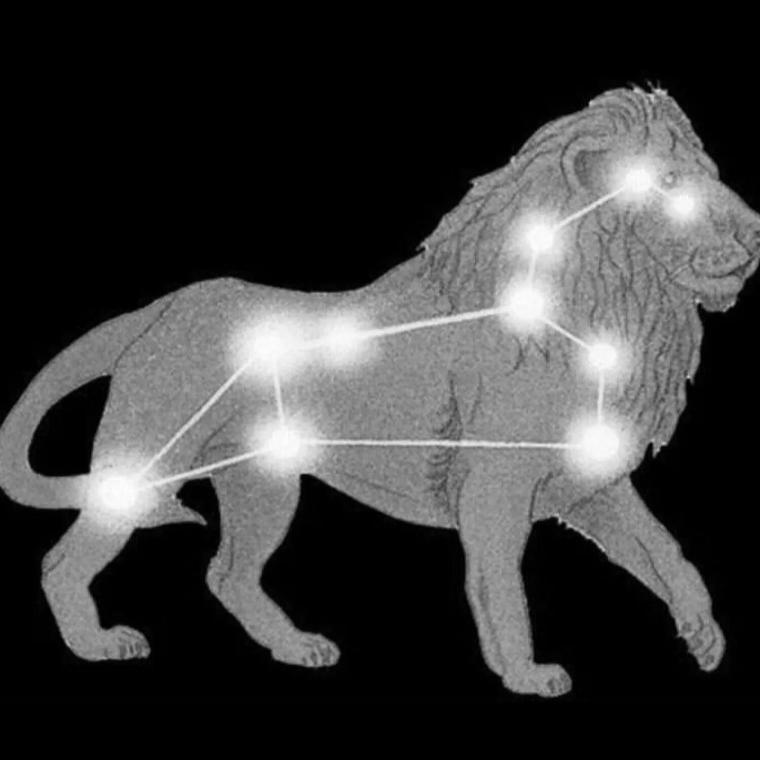 Созвездие льва нарисовать по точкам. Модель созвездия Льва 1 класс окружающий мир. Зодиакальное Созвездие Лев. Созвездие Льва окружающий мир 1 класс. Созвездие Льва Созвездие Льва.