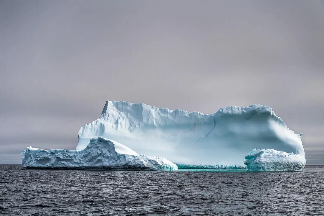 Айсберги Гренландии. Гренландия Северный Ледовитый океан. Айсберги Северного Ледовитого океана. Айсберг в океане текст