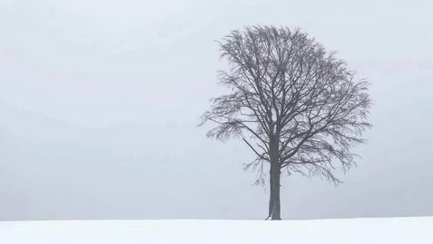 Минималистичное дерево
