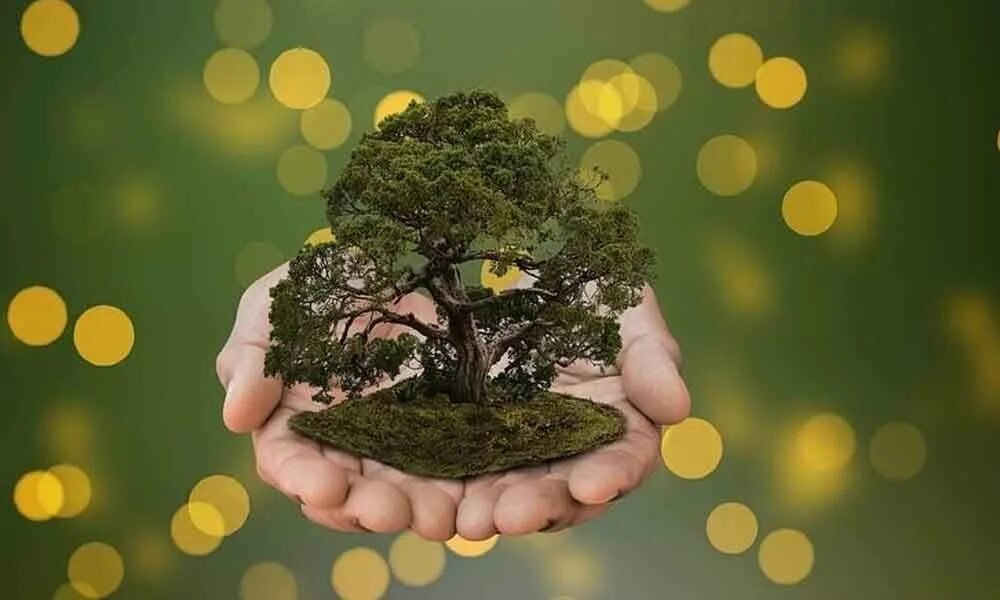 Natural day. Natural day. Природа земли. Natural day. Environment надпись.