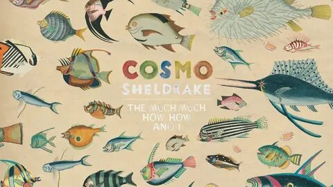 Cosmo sheldrake come