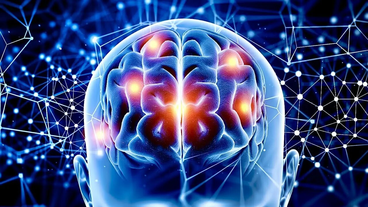 Neuro net