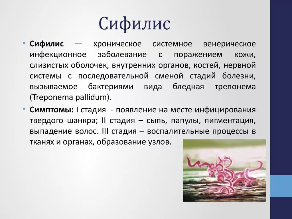 Спирохеты вызывают заболевания. Симптомы сифилиса кратко. Сифилис признаки кратко. Сифилис это бактериальная инфекция.