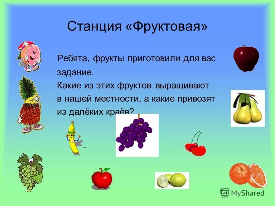 Станция фруктовая