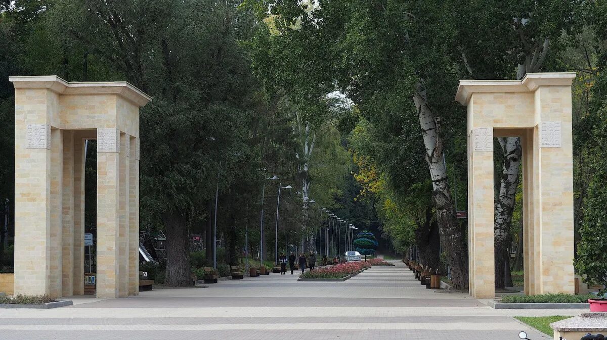 Парк динамо воронеж. Воронежский центральный парк динамо. Сквер динамо воронеж. Воронеж центральный парк культуры и отдыха. Воронежский центральный парк фото.