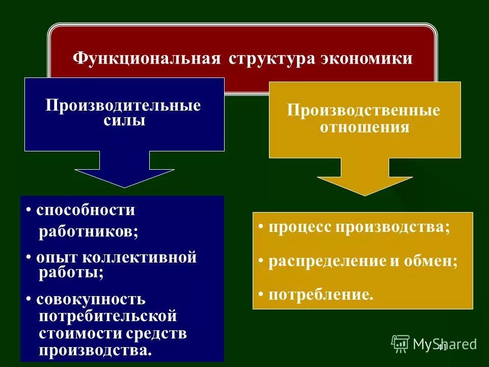 Структура экономики. Функциональная структура э. Функциональная структура хозяйства. Функциональная экономика. Функционально экономическая система