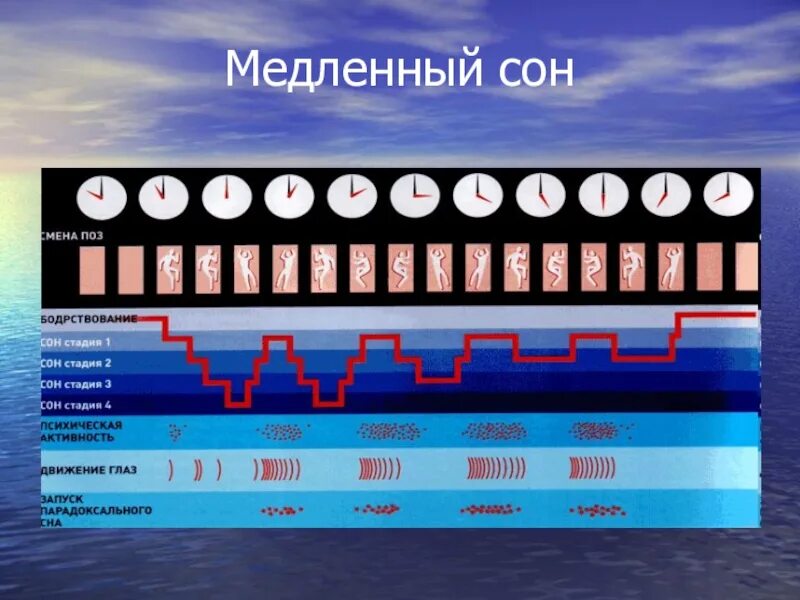 Чем характеризуется медленный и быстрый сон. Медленный сон. Фазы быстрого и медленного сна. Фазы сна быстрый и медленный сон. Картинки фазы сна быстрый медленный.