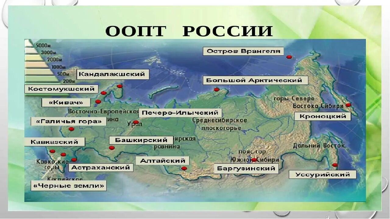 Особо охраняемые территории россии презентация 8 класс. Особо охраняемые природные территории РФ карта. Карта особо охраняемые природные территории России заповедники. Карта особо охраняемые территории России 8 класс. Заповелники Росси на карет.