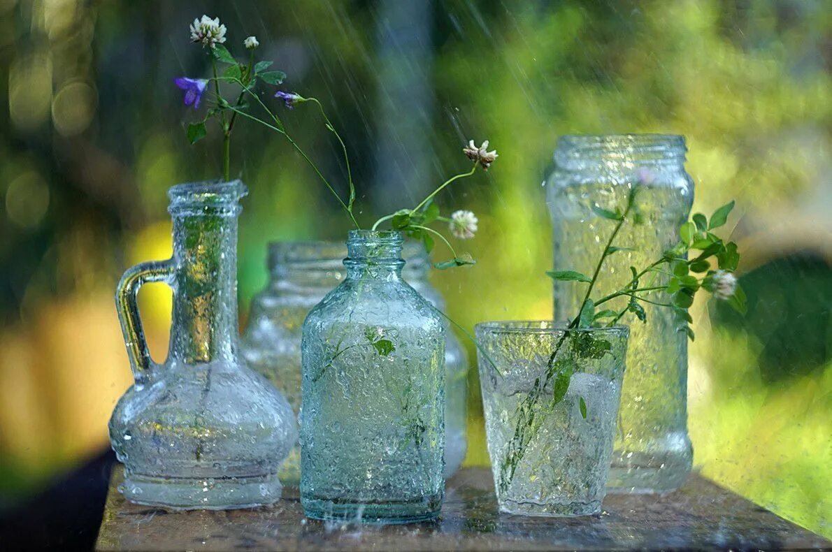 лучи солнца. красота русской природы. верет. стойбище осеннего тумана. овеенный или овеянный прохладой.