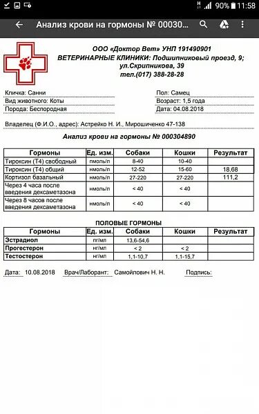 Т4 результат. Нормы гормонов у собак. Анализы на гормоны собак. Норма гормона т4 для собак. ТТГ У собак норма.